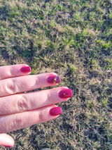 Mandy F. review photo