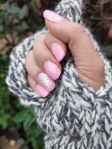 Charlotte G. review photo