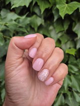 Sina D. review photo