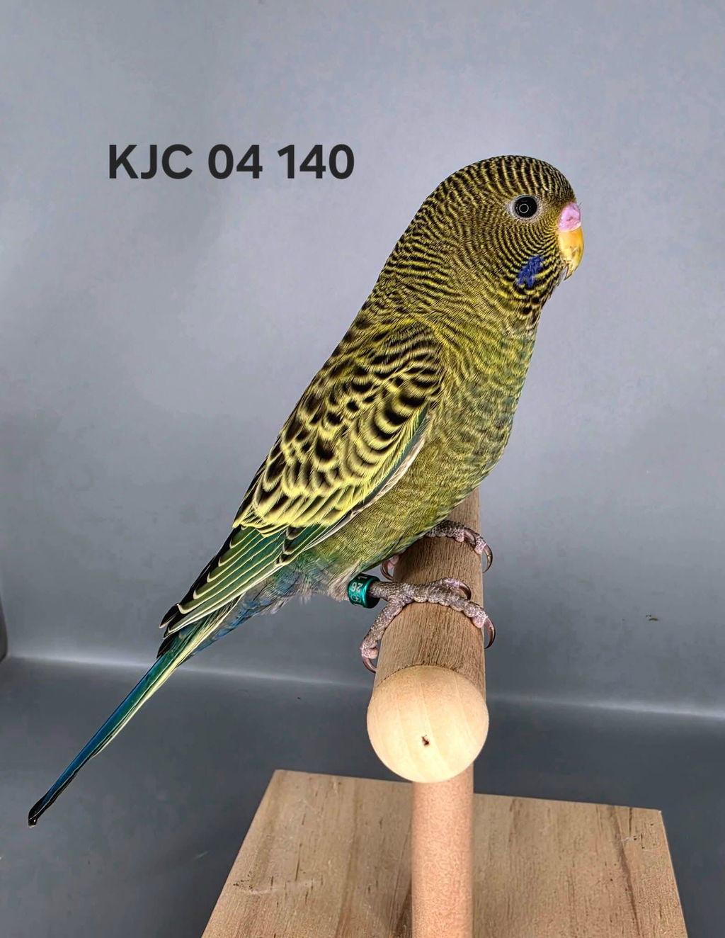 Large Metal Bird Cage with Perches, Food Bowls, Swing, for Budgies, Parakeets, White
