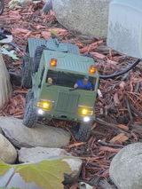 Larry W.K. review photo