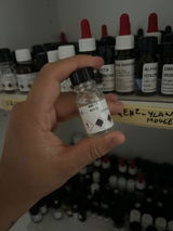 tommaso sterza review photo