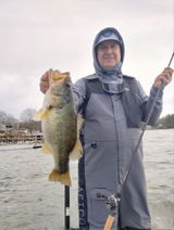 Gregory Knight review photo