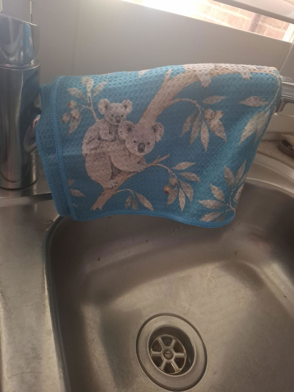 Koala Cuddles Cleaning Cloth