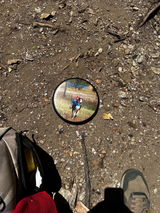 Fully Custom Disc Golf Disc