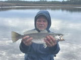 Don Balius, Sr. review photo