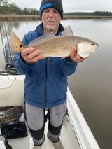Don Balius, Sr. review photo