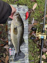 503BASSER review photo