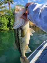 Fishing gnome review photo