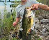 Anthony Crocco review photo