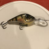Clayton C. review photo