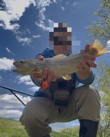 Anonymous review photo