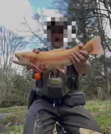 Anonymous review photo