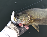 Jon P. Fishing review photo