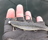 Jon P. Fishing review photo