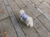Cheryl review photo