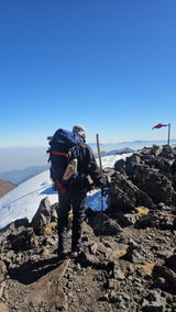 RENE D.L.P.H. review photo