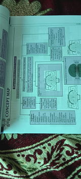 Rashi review photo
