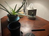 Kristen Turnbach review photo