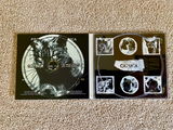 Finn C. review photo