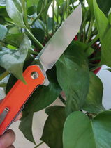 Bob Grindle review photo