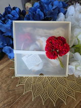 Shalini Guptha review photo