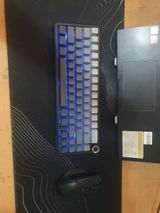 Aveen K. review photo