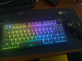 Raj R. review photo