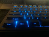 Vidusha S. review photo