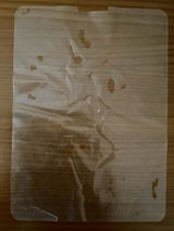 Erwin review photo