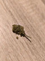 M. review photo