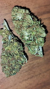 A.H. review photo