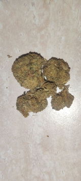 J. review photo