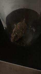 D. review photo