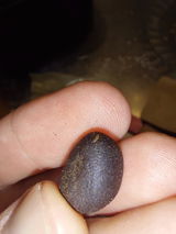 S. review photo