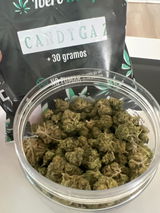 G.C. review photo