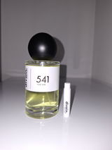 Vanessa Z. review photo