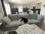 Lily review photo