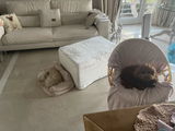 Mirelory Cipriani review photo