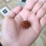 Manish Sharma review photo
