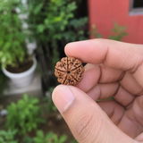 A.K. Behera review photo