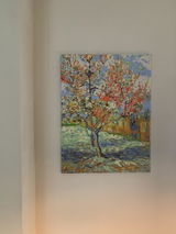 Hennie van der Weegen - Moelands review photo