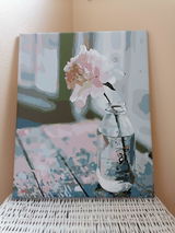 Nicole Menzel review photo