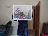 Anonymous review photo