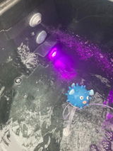 Anonymous review photo