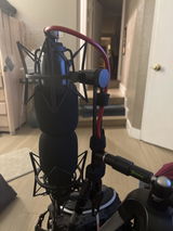 P.F. review photo