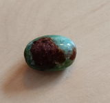 Nicole B. review photo