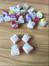 S.B. review photo