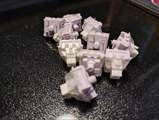 M.W. review photo