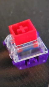 T***a review photo